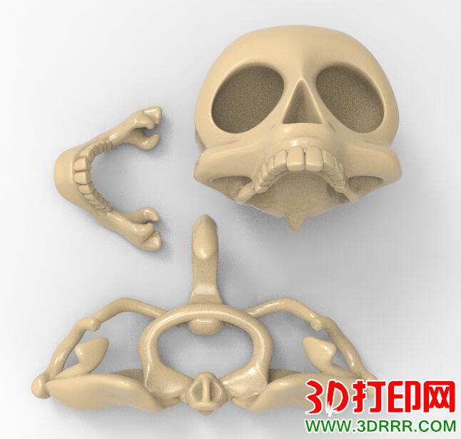 人体骨架3D打印模型