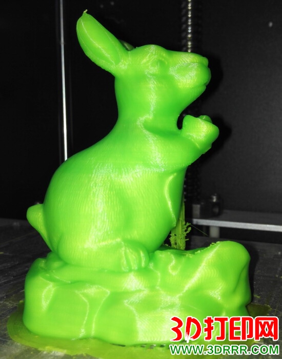 兔子3D打印作品