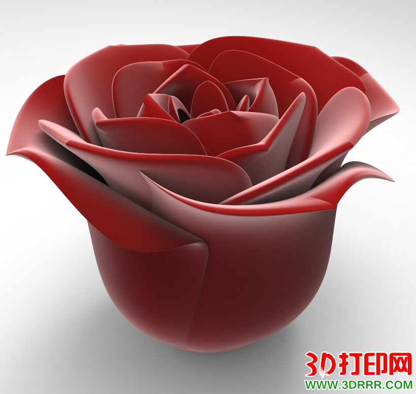 玫瑰花瓣3D打印模型
