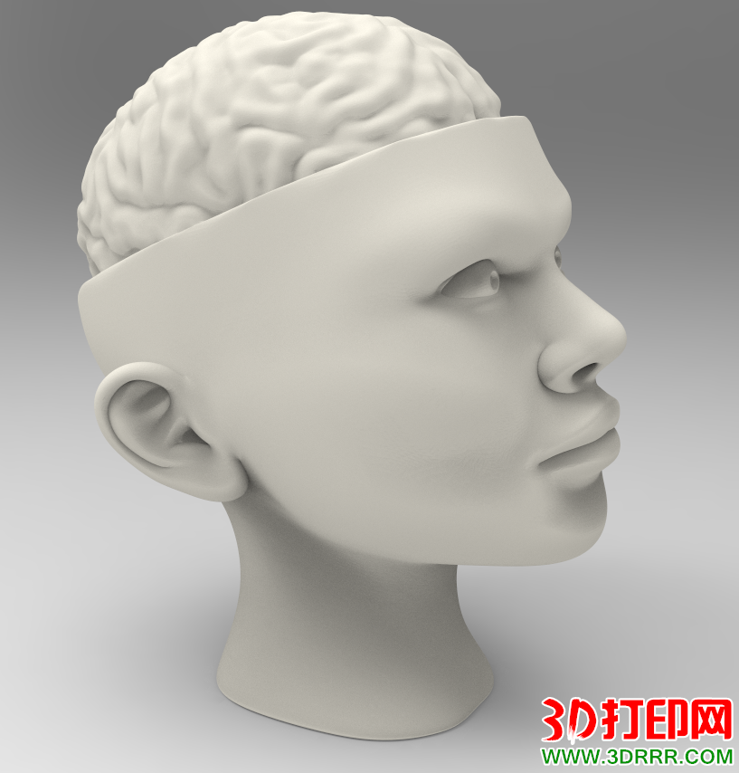 半个人头（大脑）3D打印模型