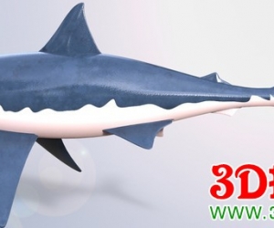 鲨鱼3D打印模型免费下载