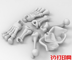 人体骨架3D打印模型免费下载（可组装）