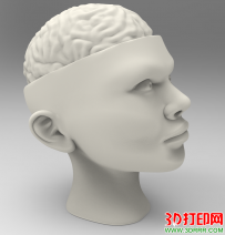 半个人头（大脑）3D打印模型免费下载（STL模型）