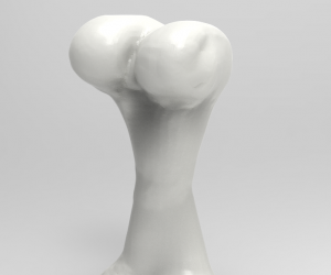 骨头3D打印模型免费下载（STL模型）