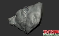 棕熊头3D打印模型免费下载（OBJ文件）