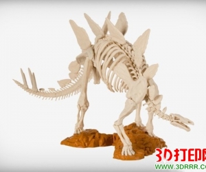 剑龙（恐龙）骨架3D打印模型下载